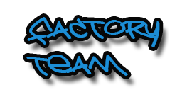 Factory Team Image